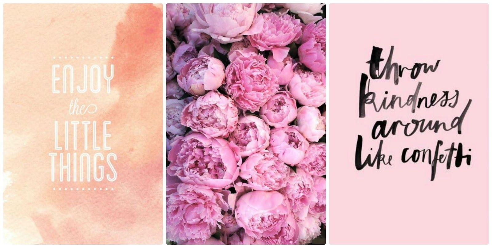 Little Things Wallpapers Top Free Little Things Backgrounds