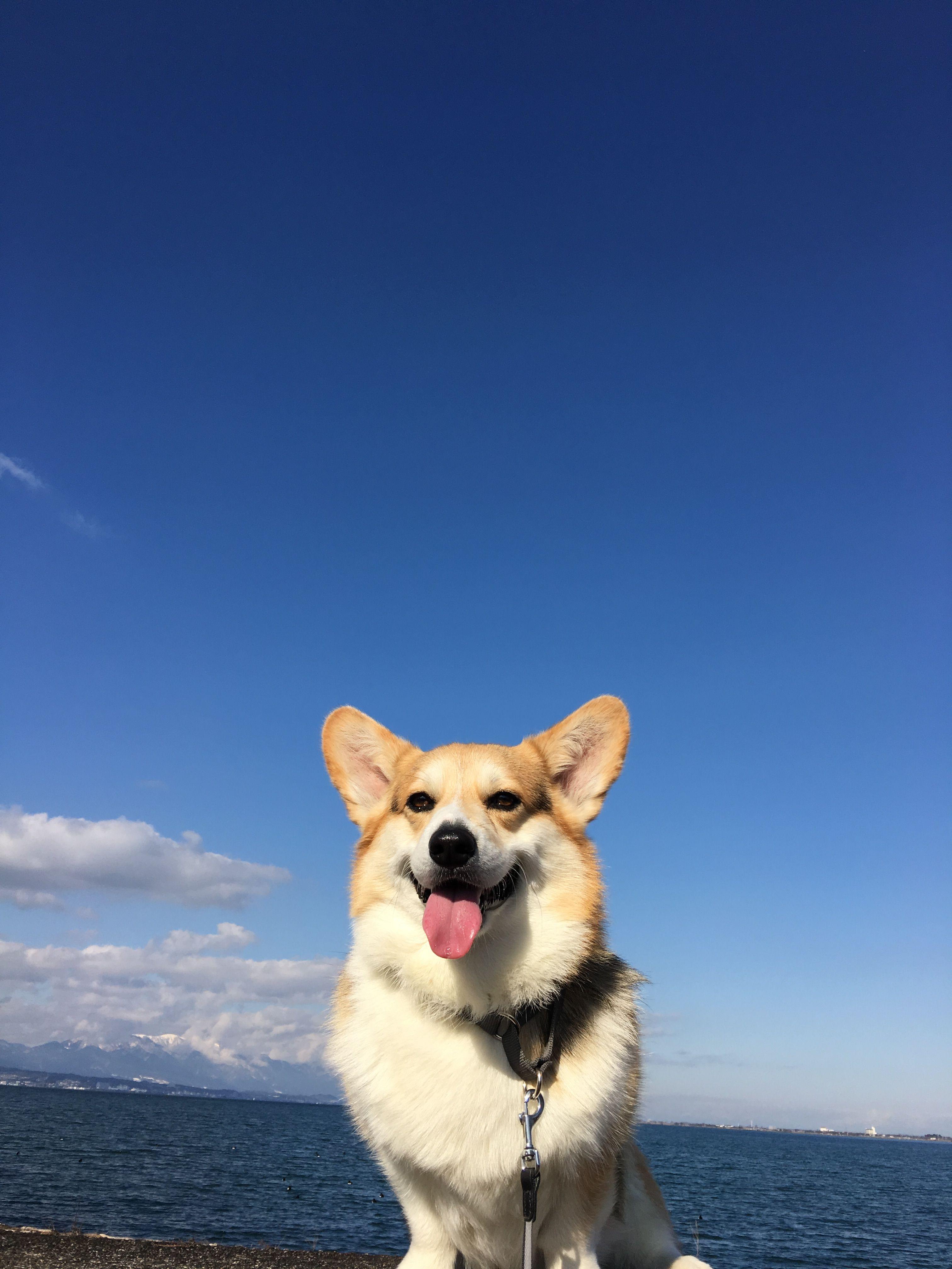 Aesthetic Wallpapers Top Free Aesthetic