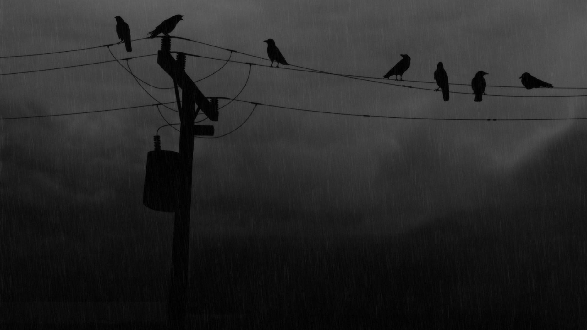 Black and White Sad Wallpapers Top Free Black and White Sad