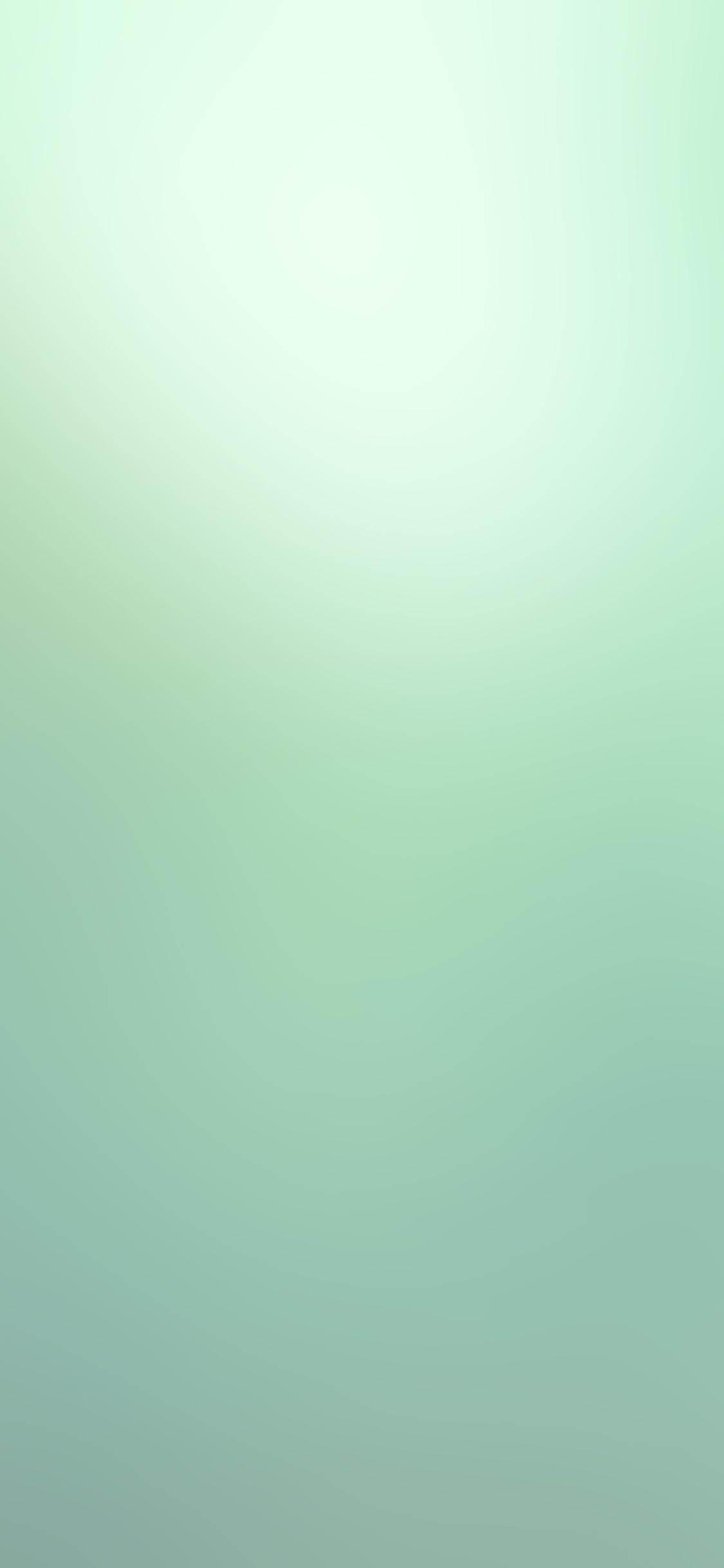 Olive Green iPhone Wallpapers Top Free Olive Green iPhone Backgrounds