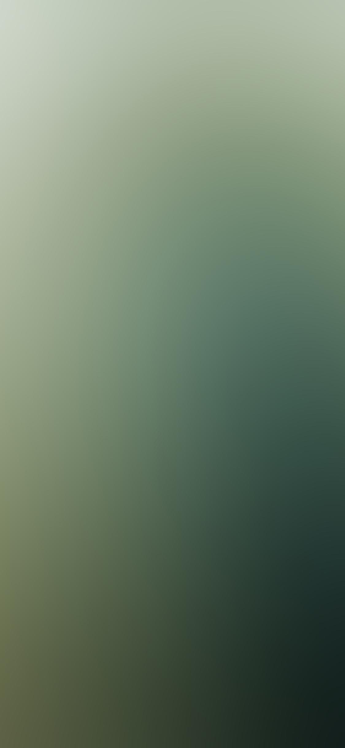 Olive Green iPhone Wallpapers Top Free Olive Green iPhone Backgrounds