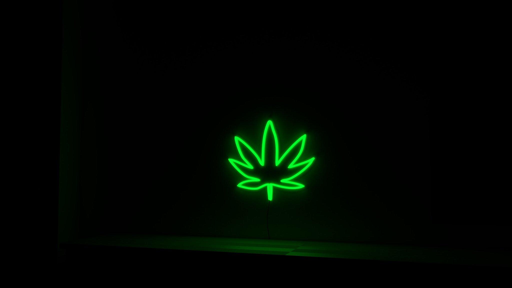 Neon Weed Wallpapers Top Free Neon Weed Backgrounds WallpaperAccess