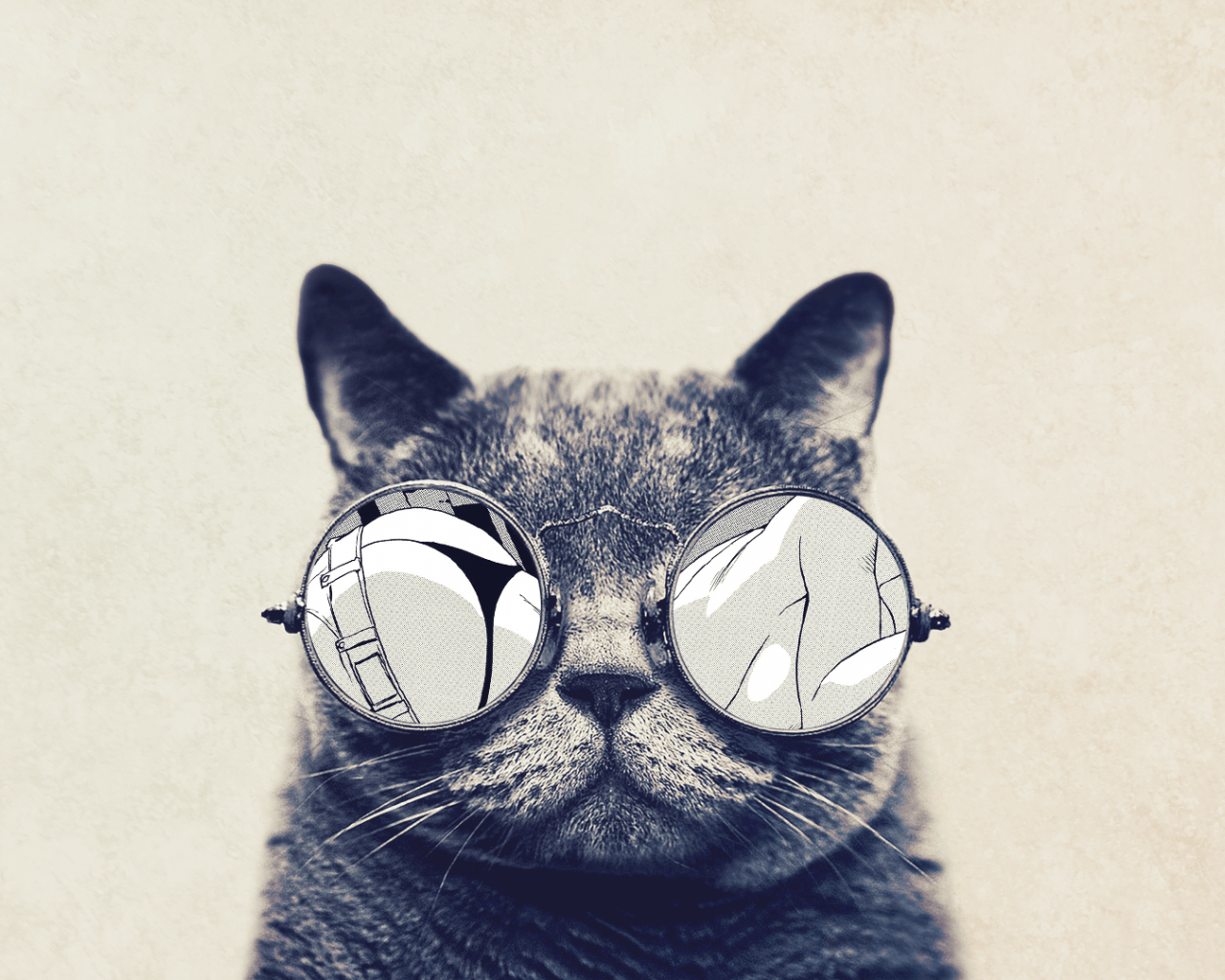 Cat with Sunglasses Wallpapers Top Free Cat with Sunglasses Backgrounds WallpaperAccess