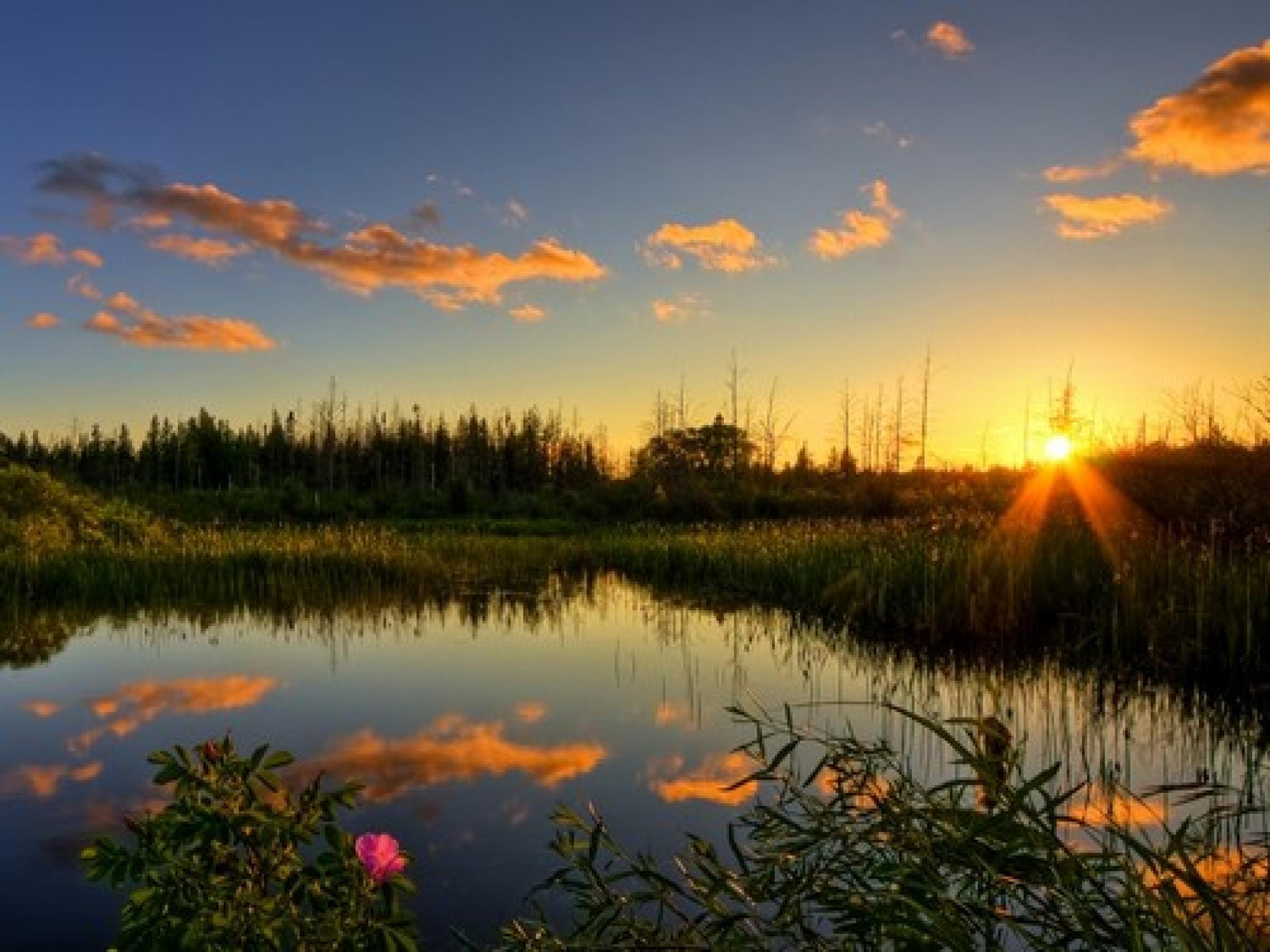 Outdoor Wallpaper BEST HOME DESIGN IDEAS