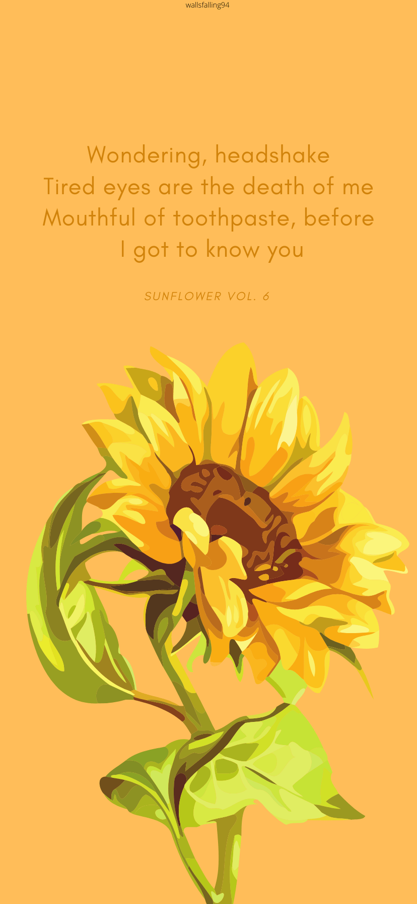 Sunflower Vol. 6 Wallpapers Top Free Sunflower Vol. 6 Backgrounds