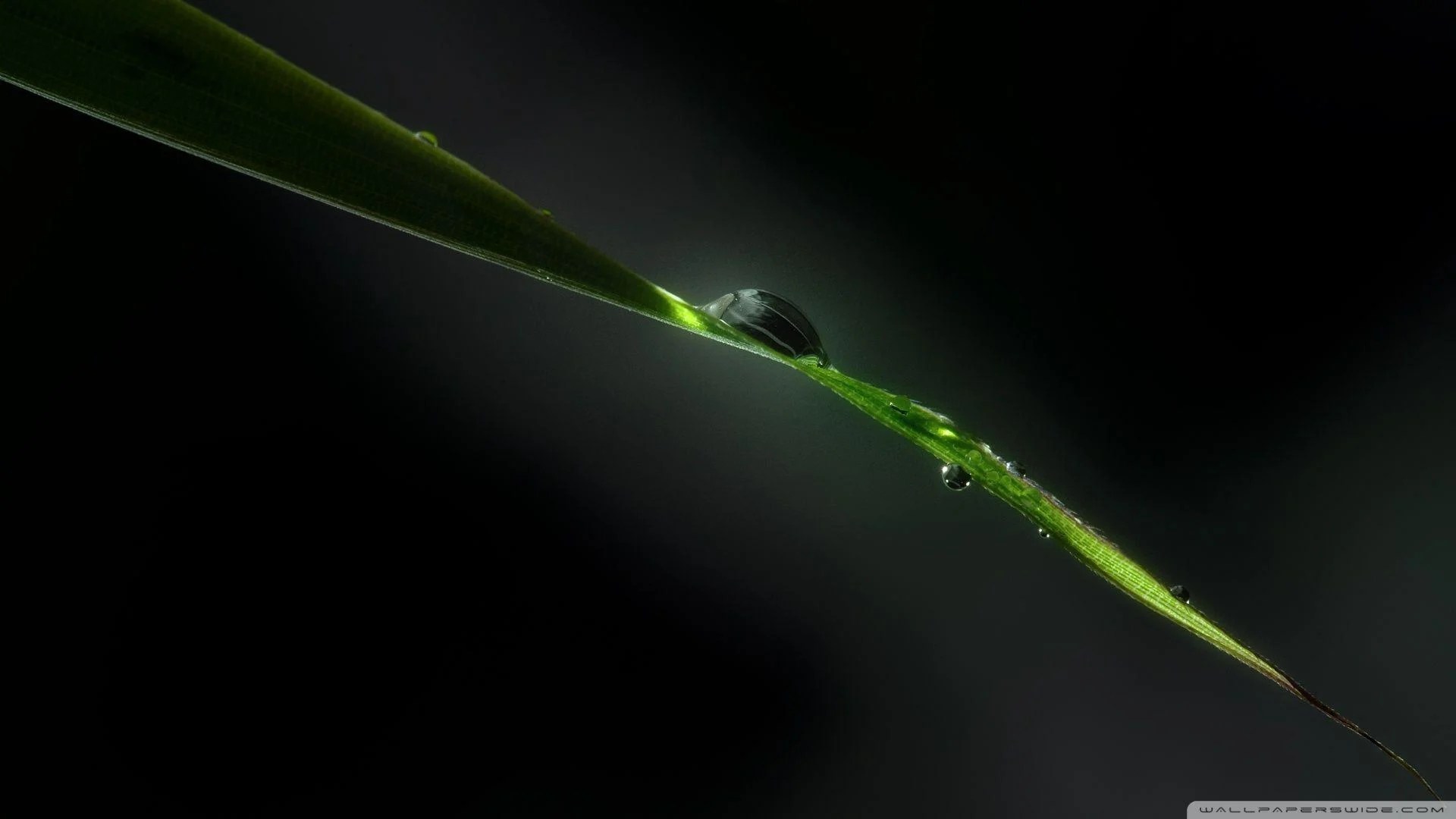 Black Rain Wallpapers Top Free Black Rain Backgrounds WallpaperAccess