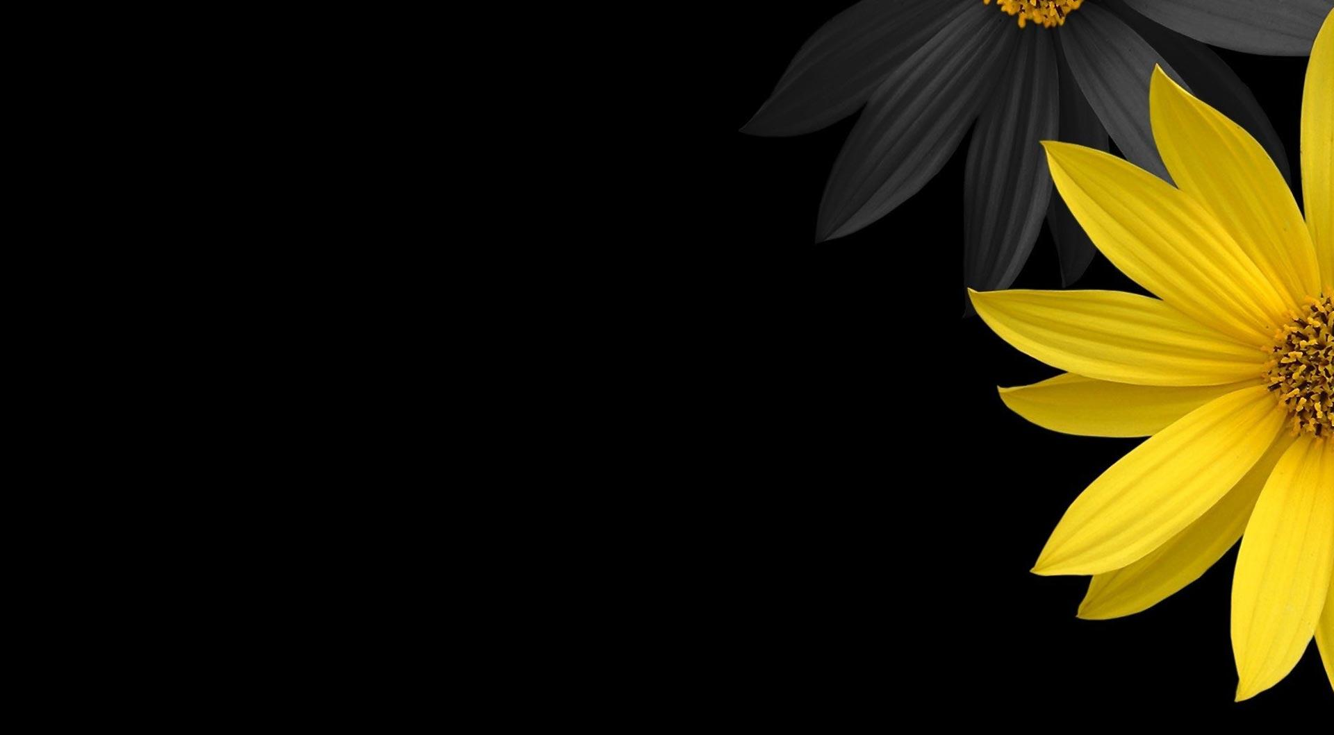 Black Yellow Grey Wallpapers Top Free Black Yellow Grey Backgrounds