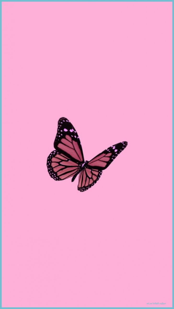 Pink Glitter Butterfly Wallpapers Top Free Pink Glitter Butterfly
