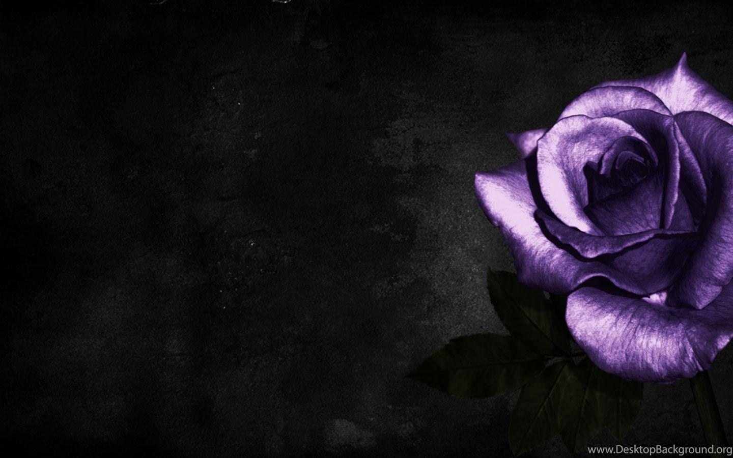 Dark Purple Desktop Wallpapers Top Free Dark Purple Desktop