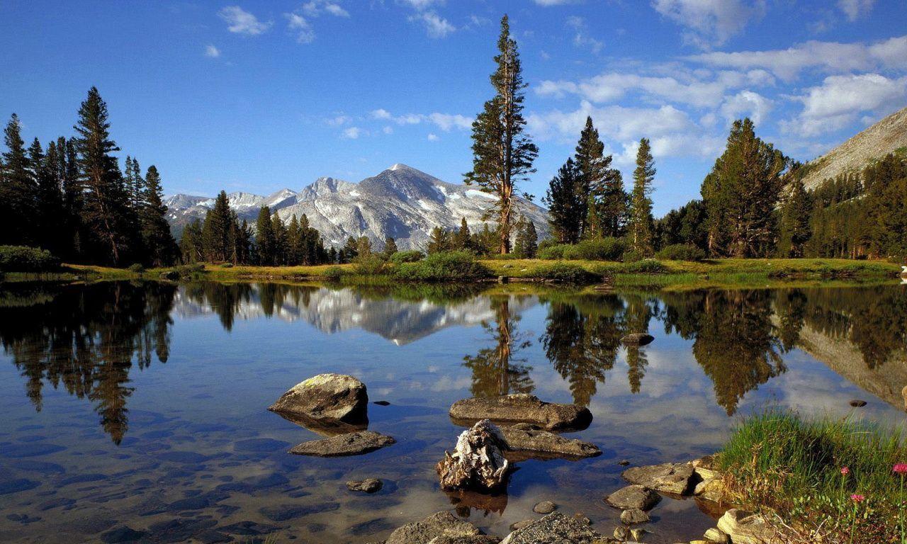 1280 X 768 Wallpapers Top Free 1280 X 768 Backgrounds WallpaperAccess