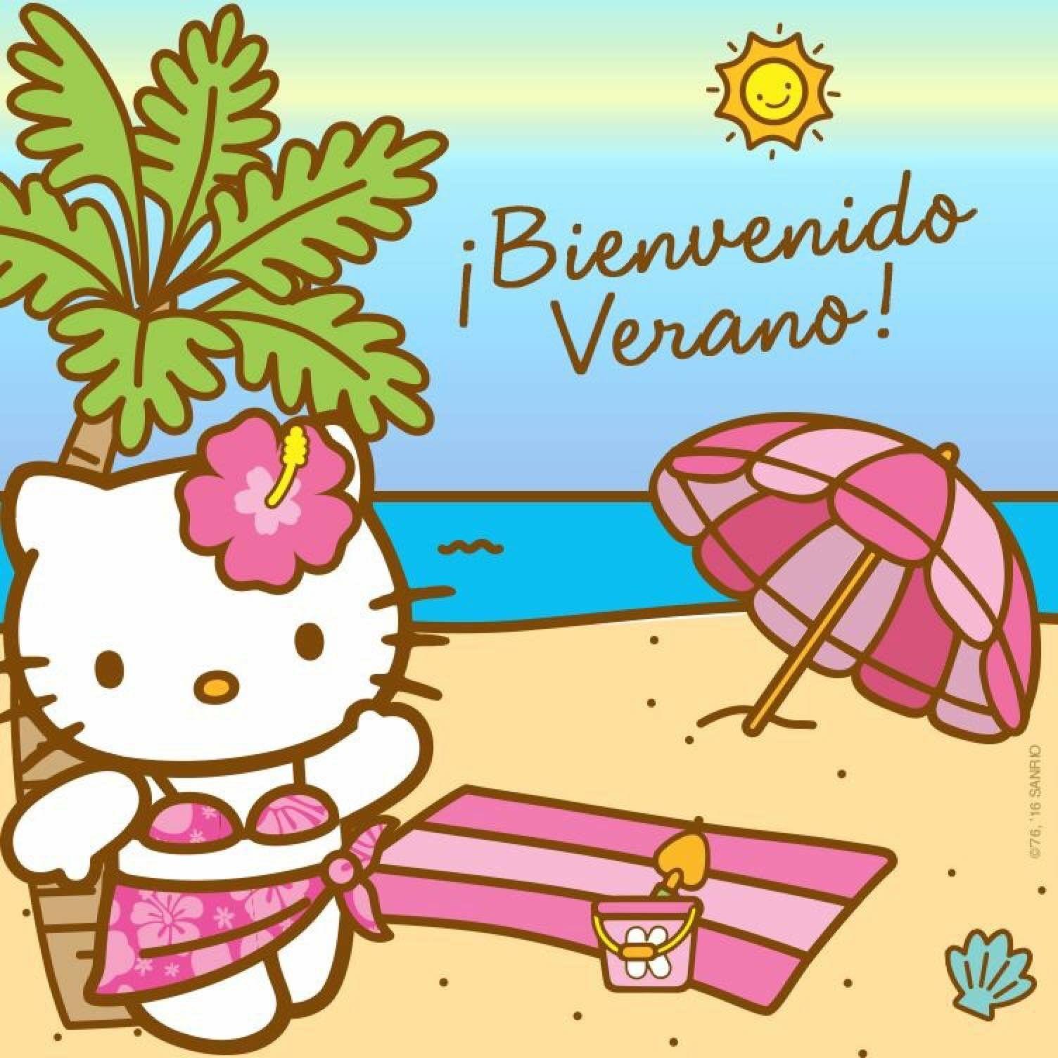 Hello Kitty Hawaii Wallpapers Top Free Hello Kitty Hawaii Backgrounds