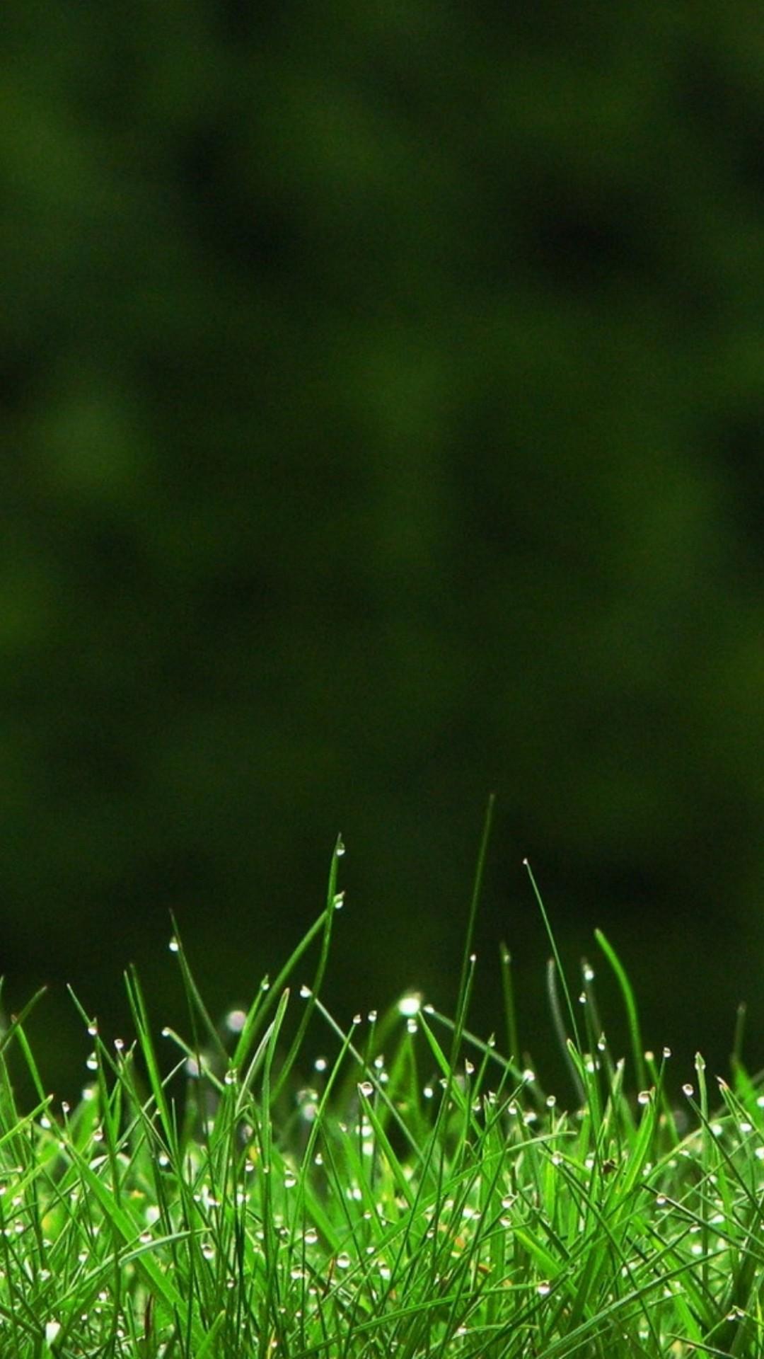 Black Green iPhone Wallpapers Top Free Black Green iPhone Backgrounds