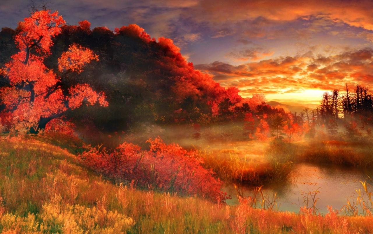 Orange Scenery Wallpapers Top Free Orange Scenery Backgrounds