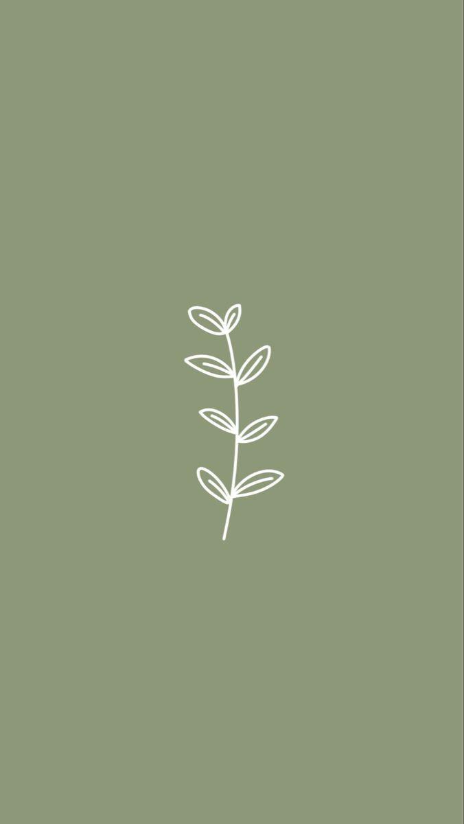 Sage Green Aesthetic Wallpapers Top Free Sage Green Aesthetic