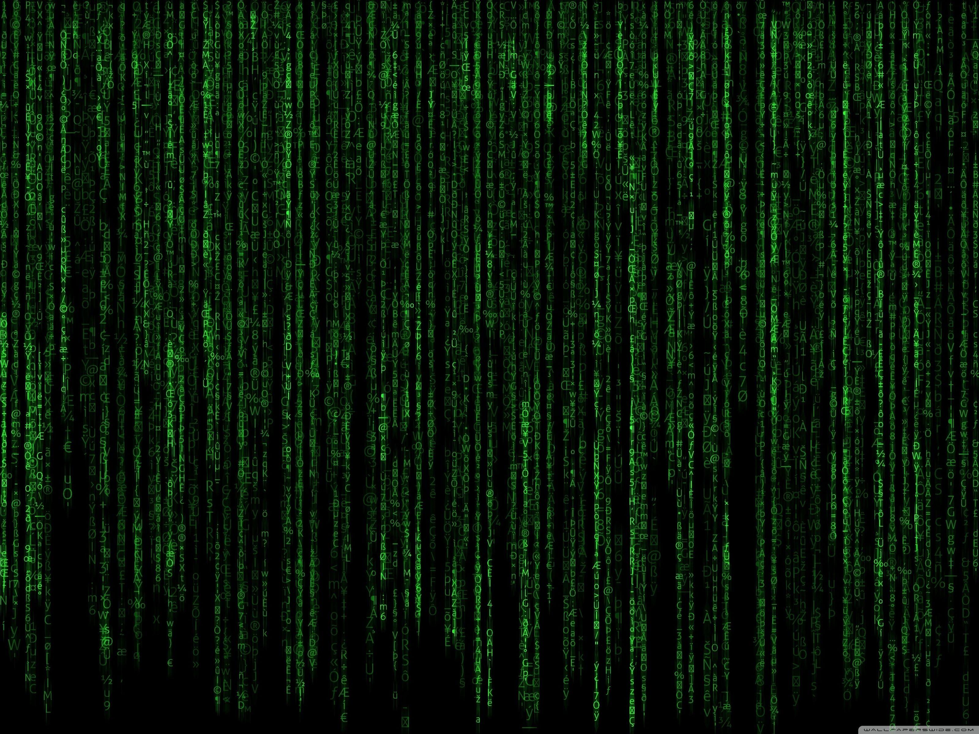 Green Matrix Code Wallpaper