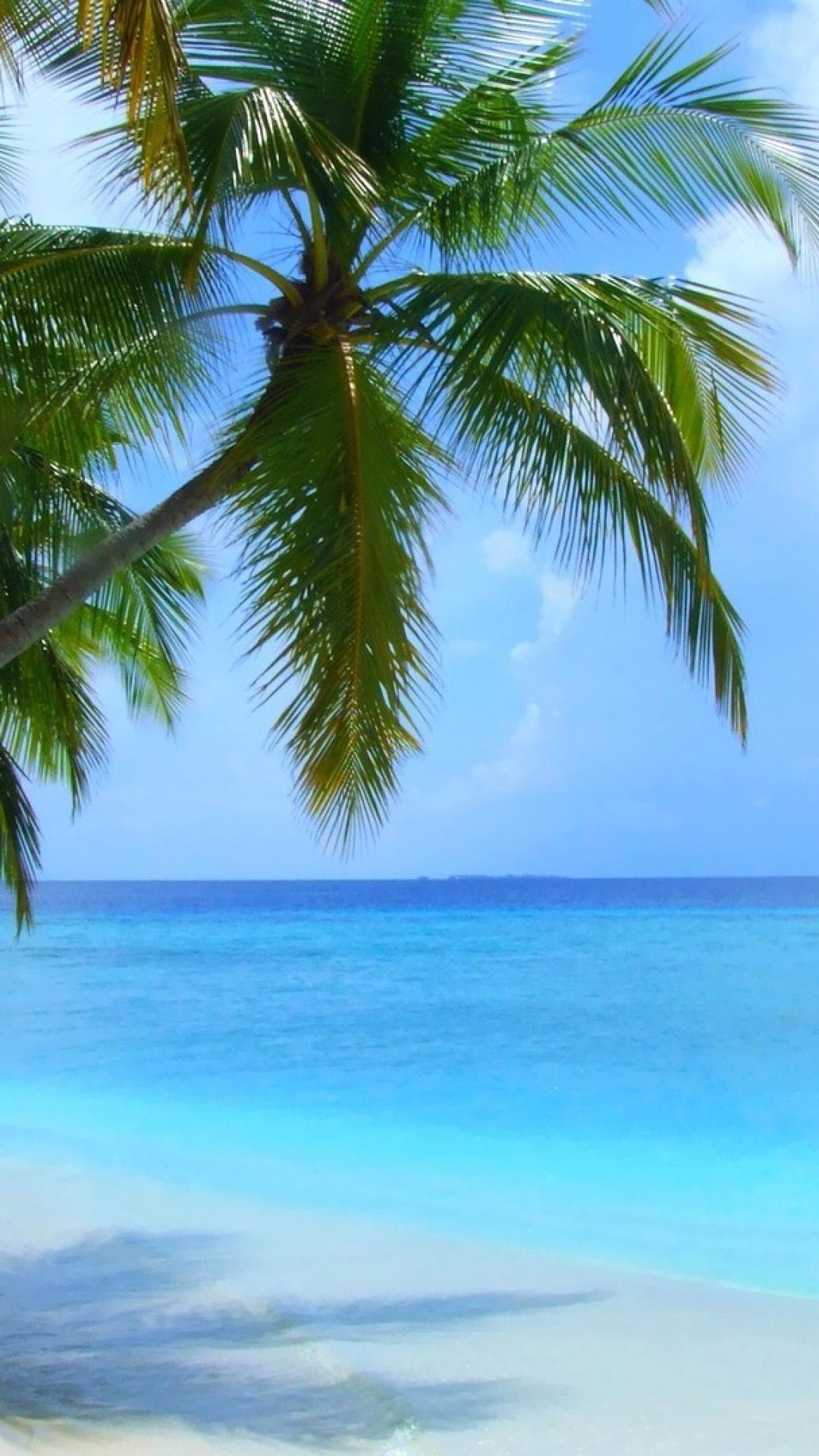 Beach 4K iPhone Wallpapers Top Free Beach 4K iPhone Backgrounds