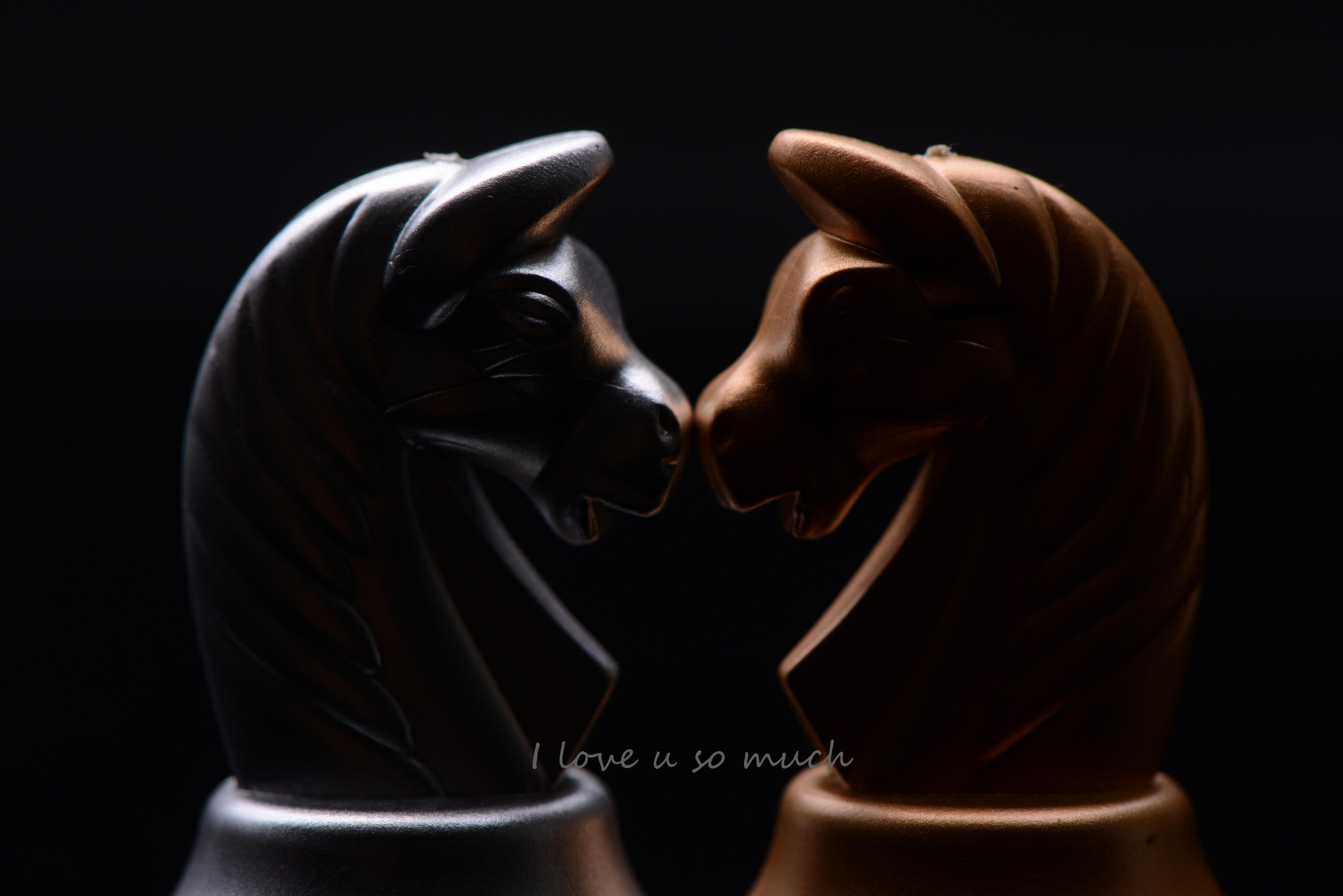 Chess Horse Wallpapers Top Free Chess Horse Backgrounds WallpaperAccess