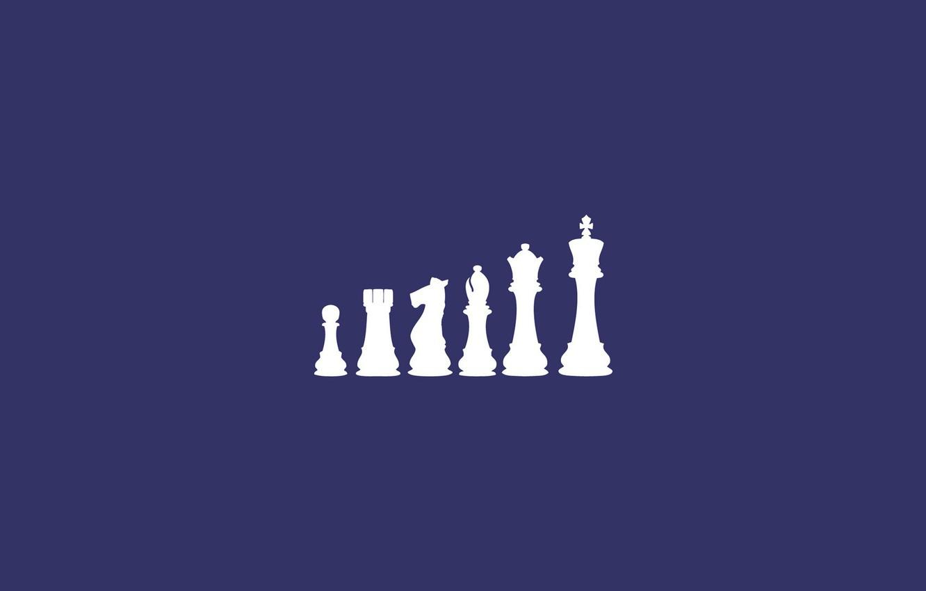 Chess Horse Wallpapers Top Free Chess Horse Backgrounds WallpaperAccess