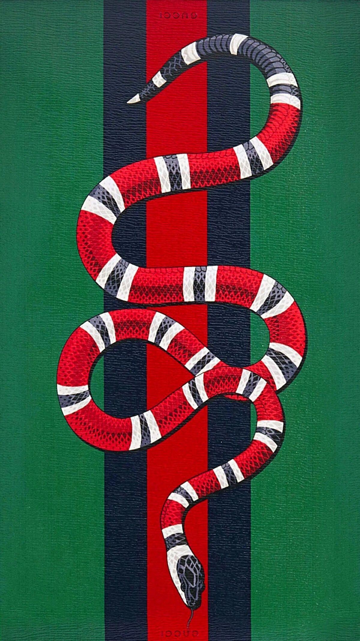 Gucci Snake Wallpaper 4K - Gucci Snake Gucci Wallpaper 4K : Gucci Snake wallpaper by ...