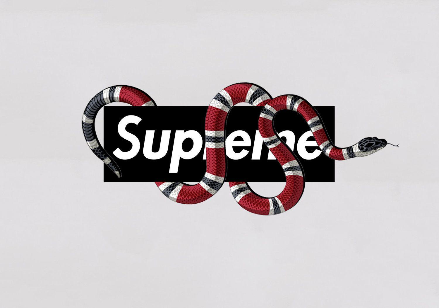 Supreme Gucci Snake Wallpapers Top Free Supreme Gucci Snake
