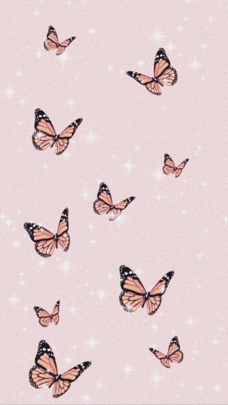 Pink Butterfly iPhone Wallpapers Top Free Pink Butterfly iPhone
