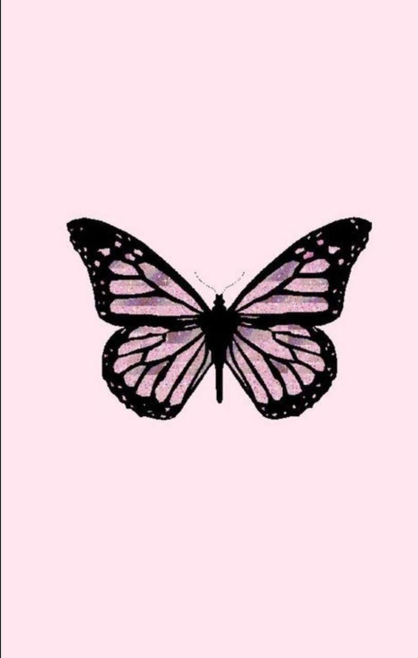Pink Butterfly iPhone Wallpapers Top Free Pink Butterfly iPhone Backgrounds WallpaperAccess