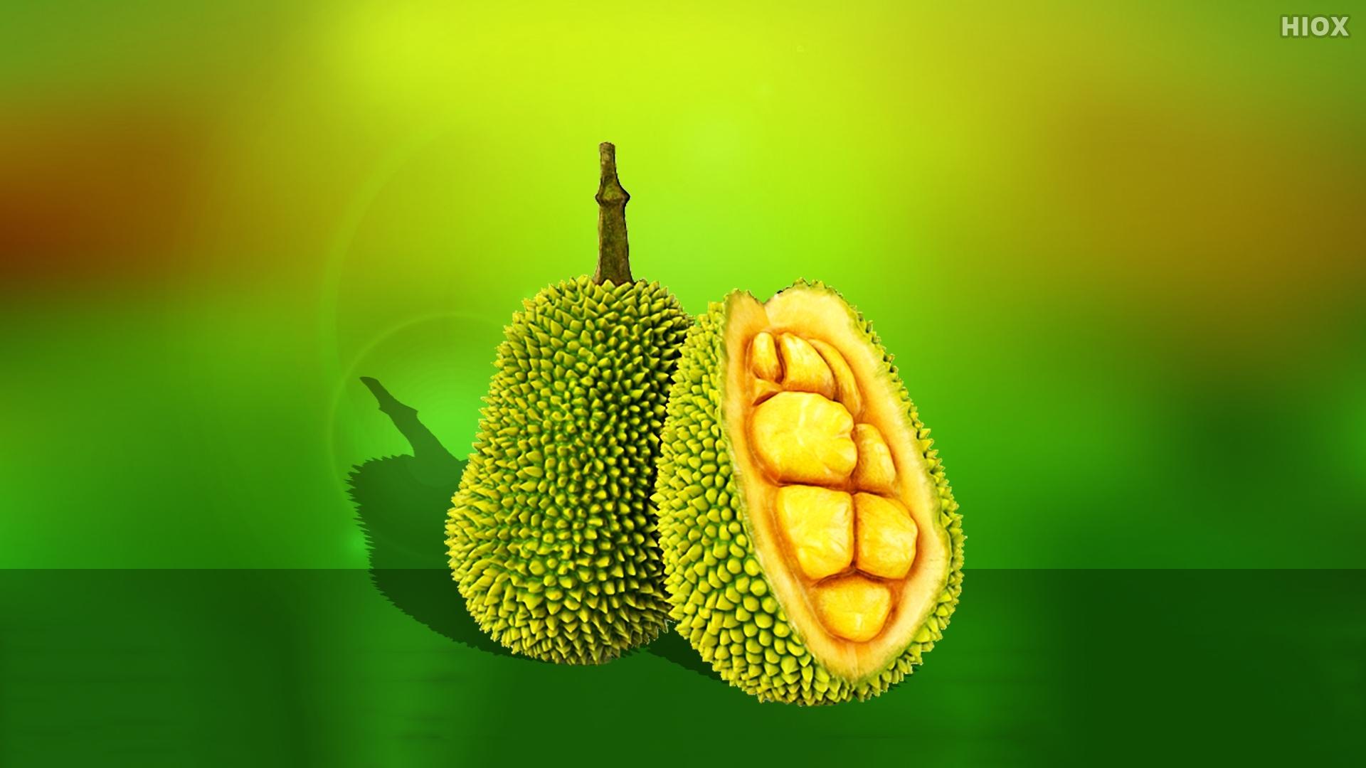 Jackfruit Wallpapers Top Free Jackfruit Backgrounds WallpaperAccess