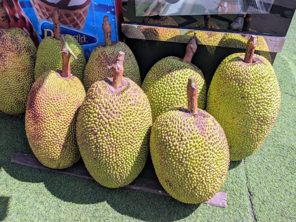 Jackfruit Wallpapers Top Free Jackfruit Backgrounds WallpaperAccess