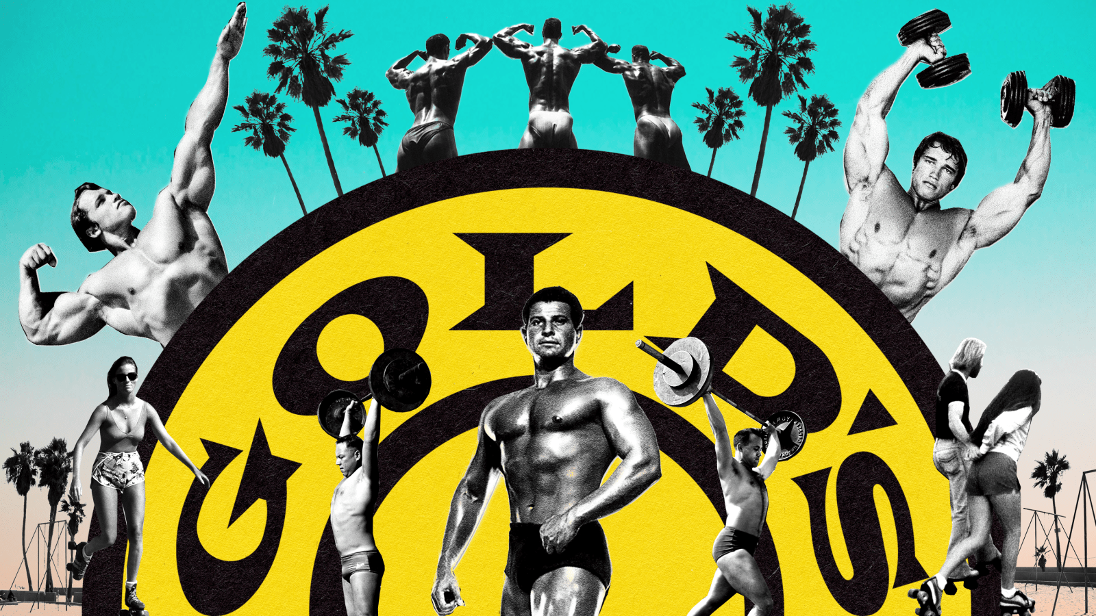 Gold's Gym Wallpapers Top Free Gold's Gym Backgrounds WallpaperAccess