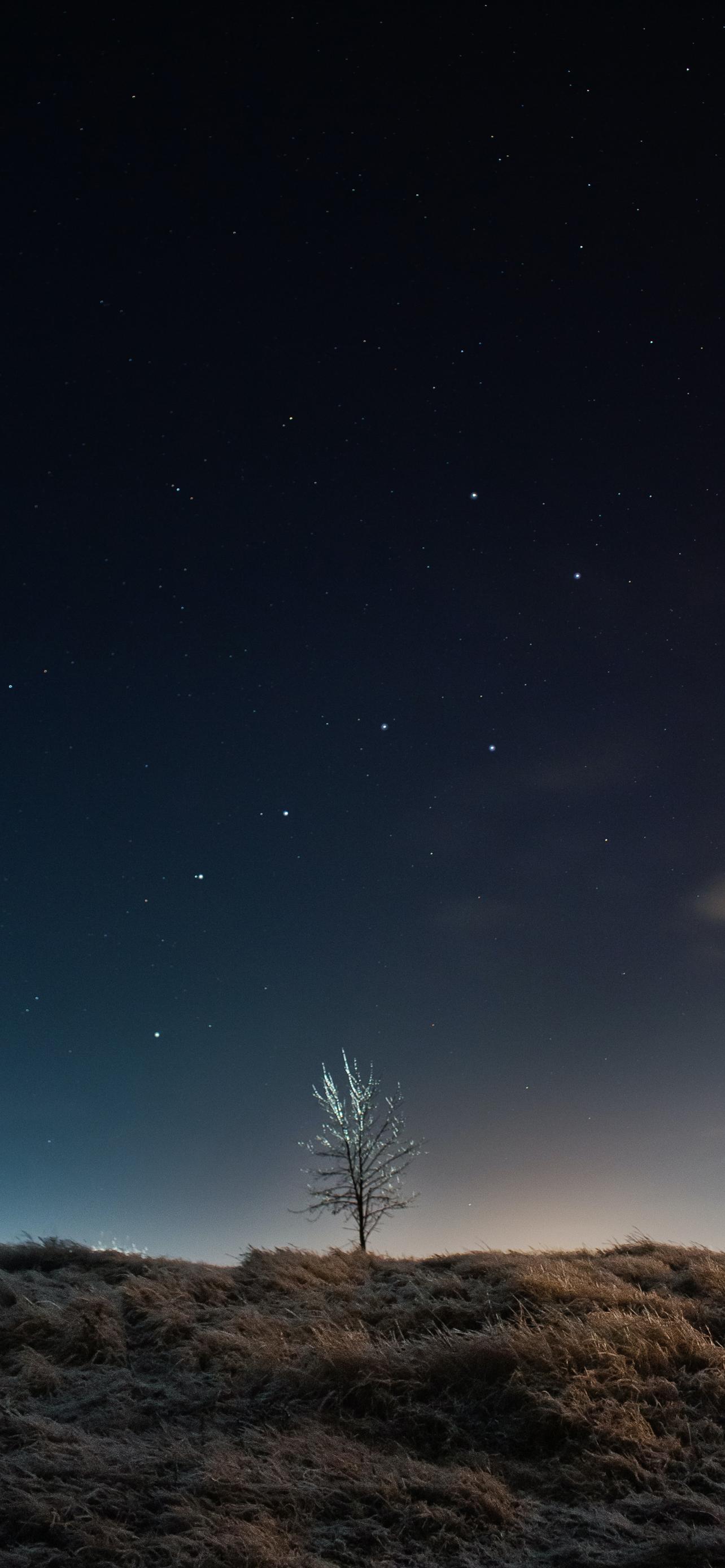 iPhone 2021 Wallpapers Top Free iPhone 2021 Backgrounds WallpaperAccess