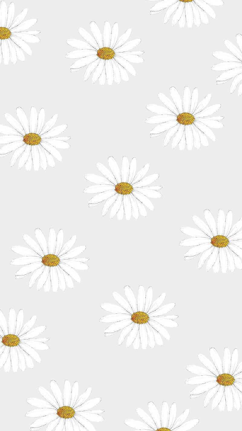 Pink Flower Phone Wallpapers Top Free Pink Flower Phone Backgrounds