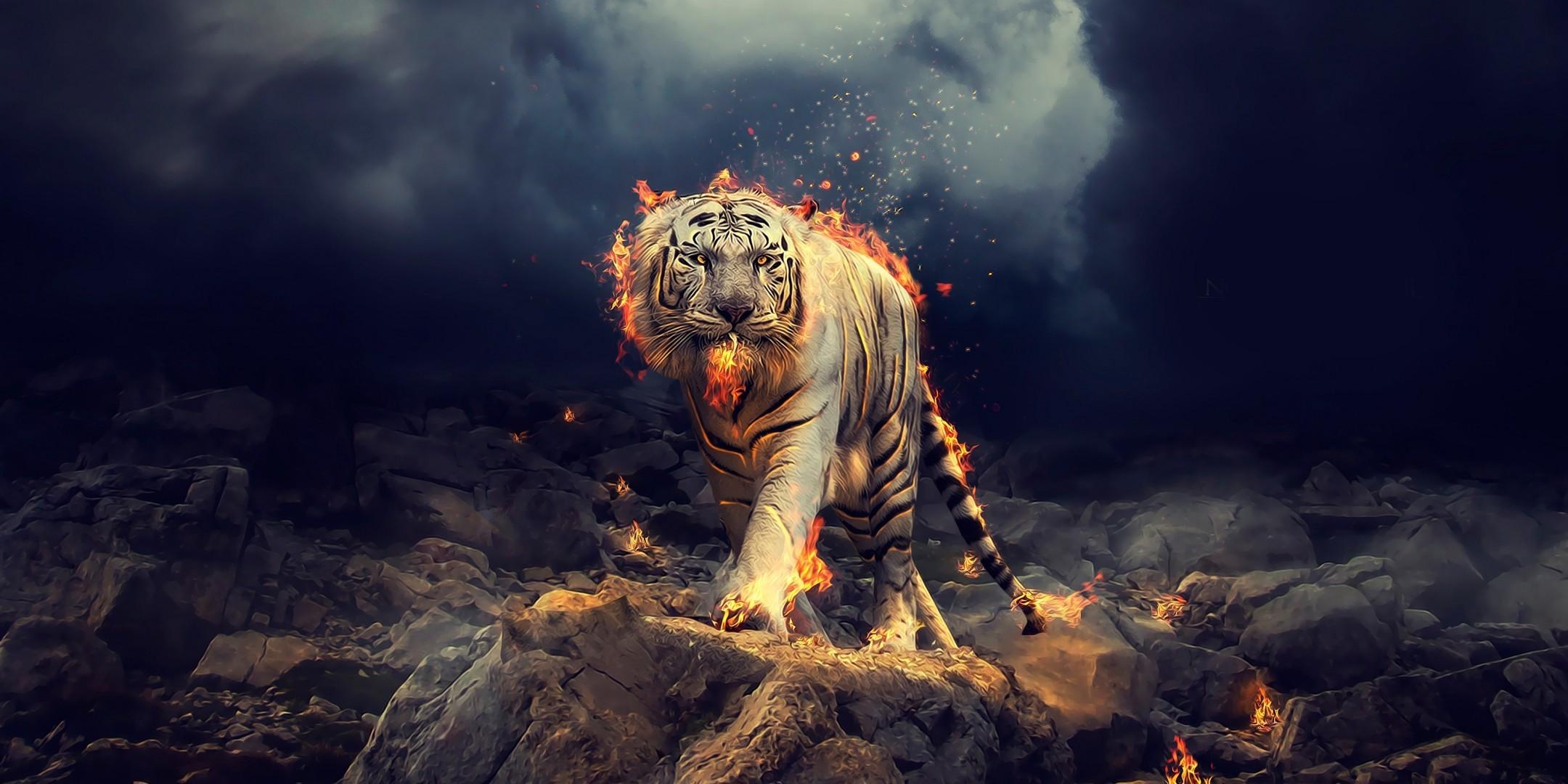 Majestic Tiger Wallpapers Top Free Majestic Tiger Backgrounds