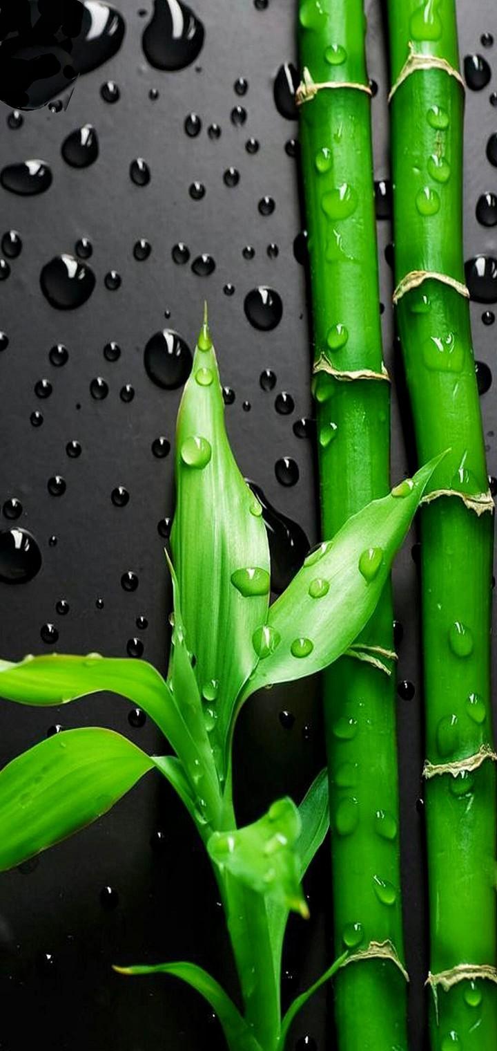 Realme 6 Pro Punch Hole Wallpapers Top Free Realme 6 Pro Punch Hole