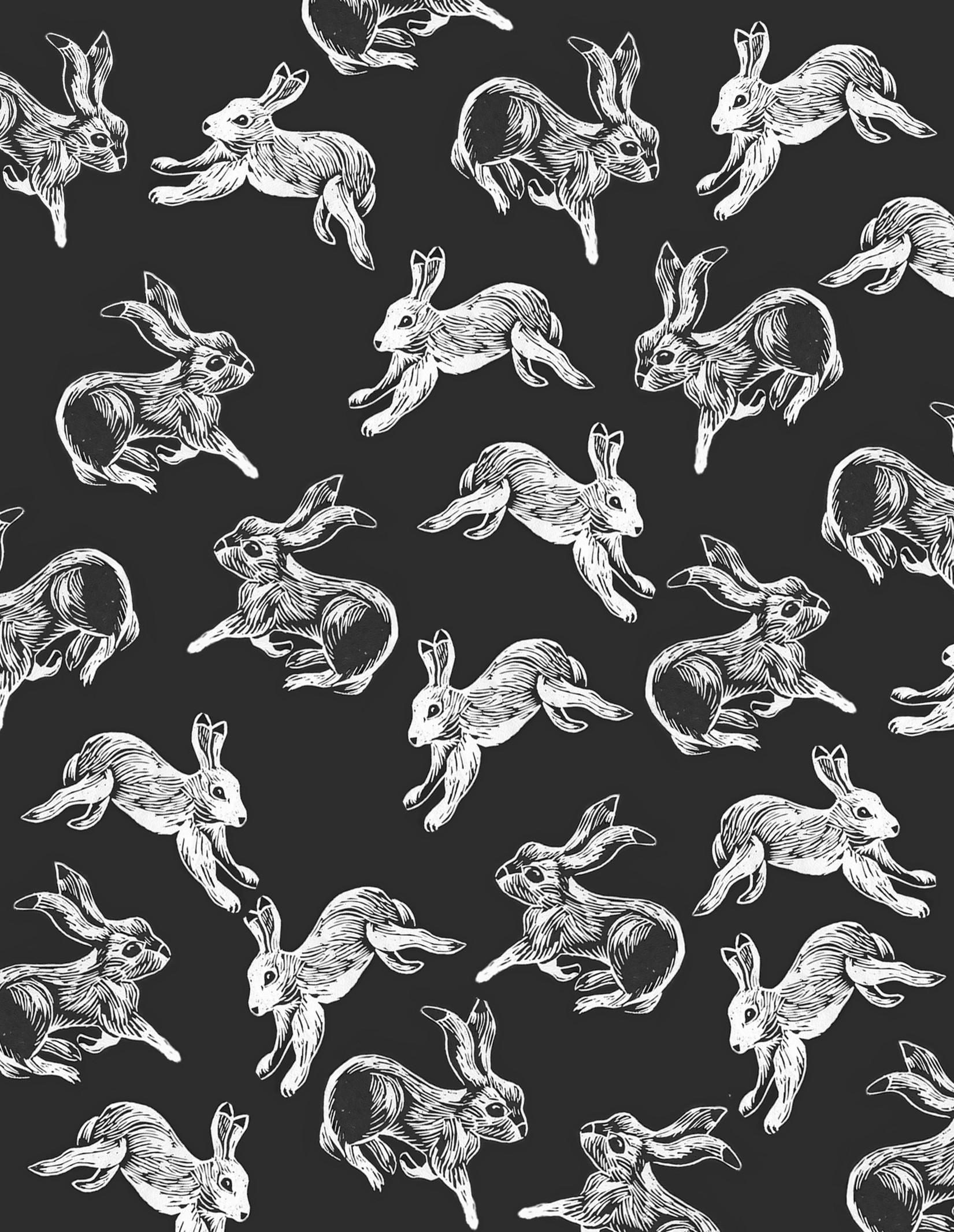Black and White Bunny Wallpapers Top Free Black and White Bunny Backgrounds WallpaperAccess