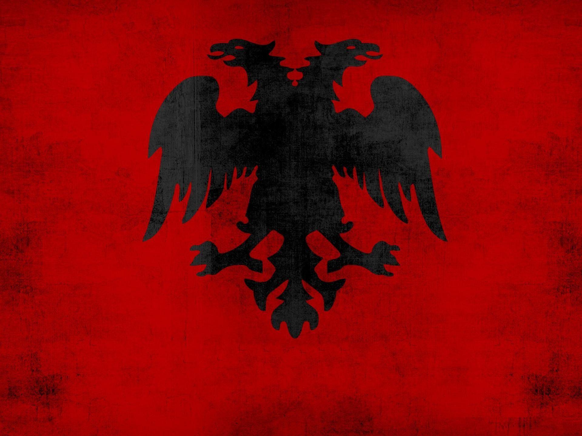 Albanian Flag Wallpapers Top Free Albanian Flag Backgrounds