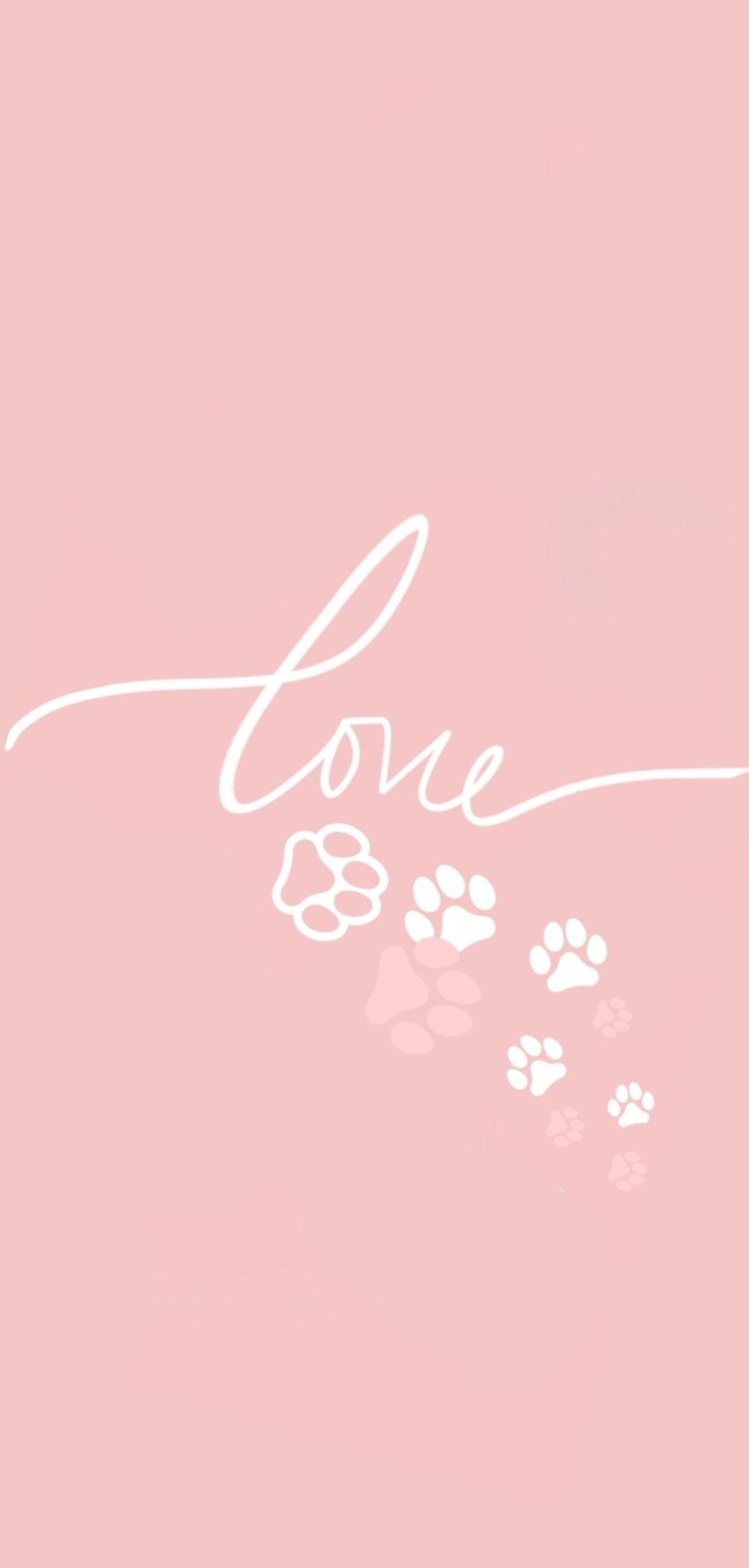 Dog Lover Wallpapers Top Free Dog Lover Backgrounds WallpaperAccess