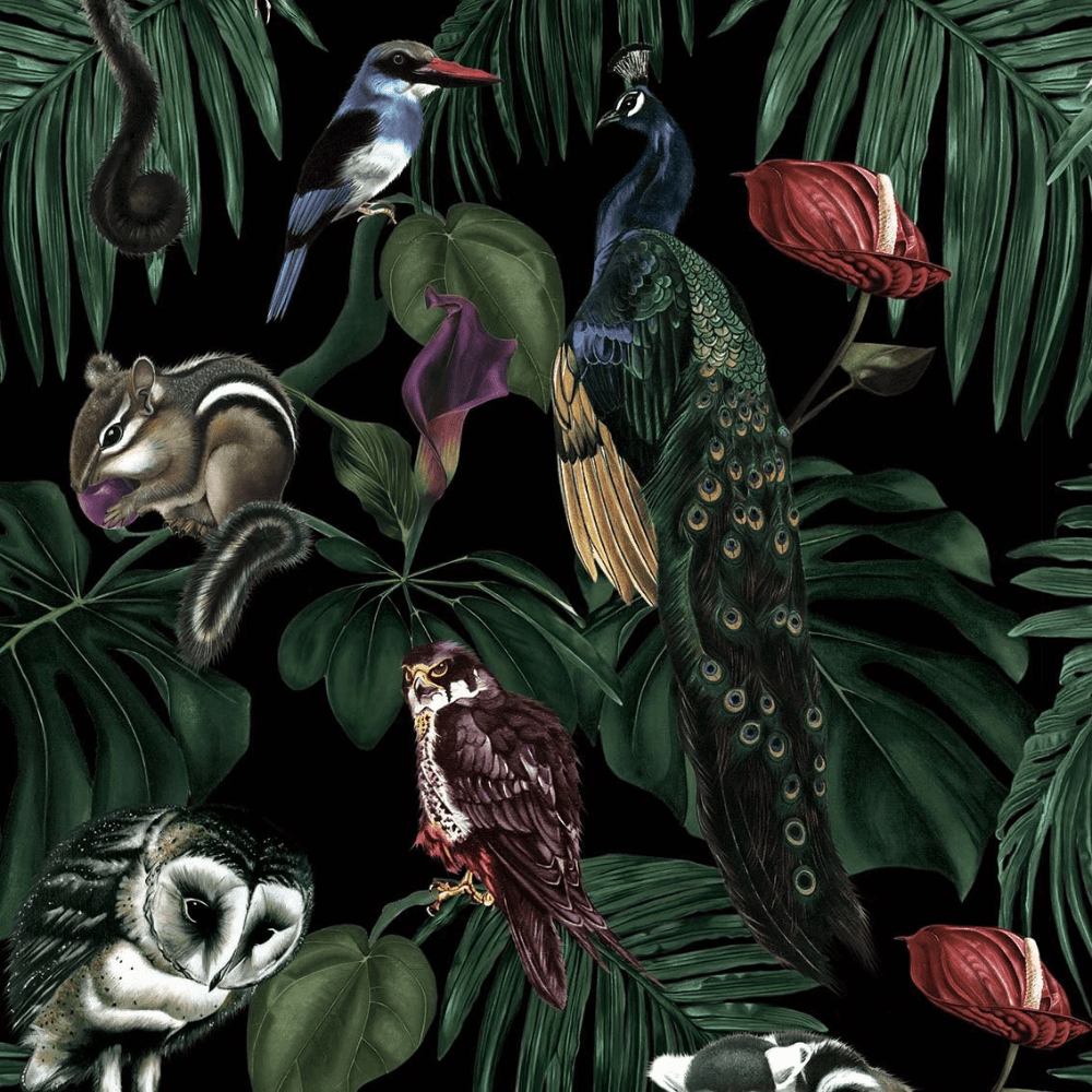 Amazonia Wallpapers Top Free Amazonia Backgrounds WallpaperAccess