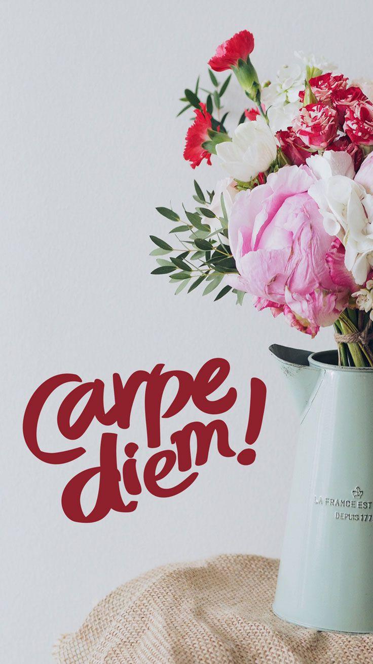 Flower Quote iPhone Wallpapers Top Free Flower Quote iPhone