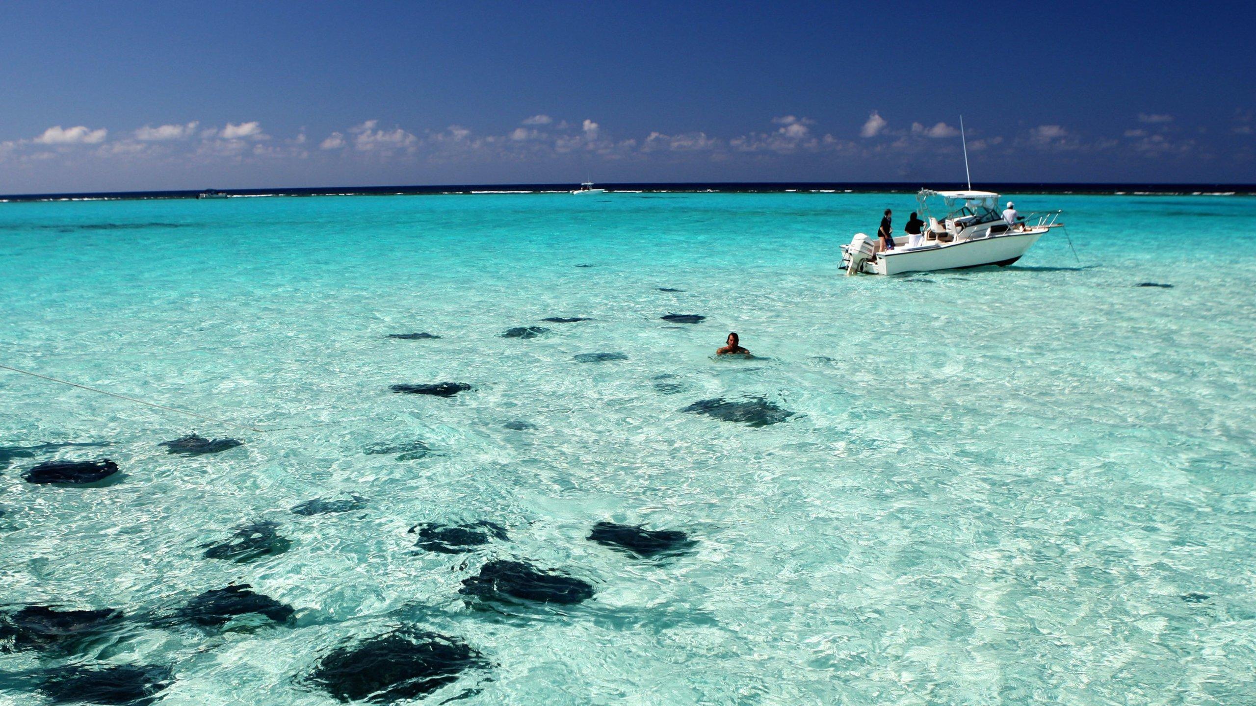 Cayman Island Wallpapers Top Free Cayman Island Backgrounds