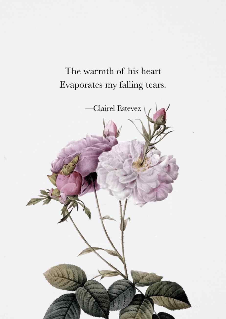 Flower Quote iPhone Wallpapers Top Free Flower Quote iPhone