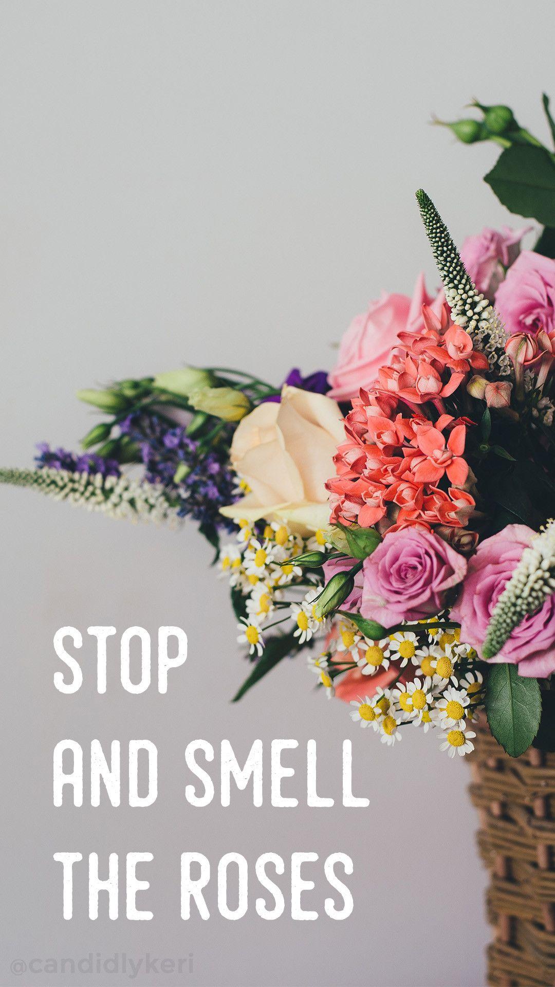 Flower Quote iPhone Wallpapers Top Free Flower Quote iPhone