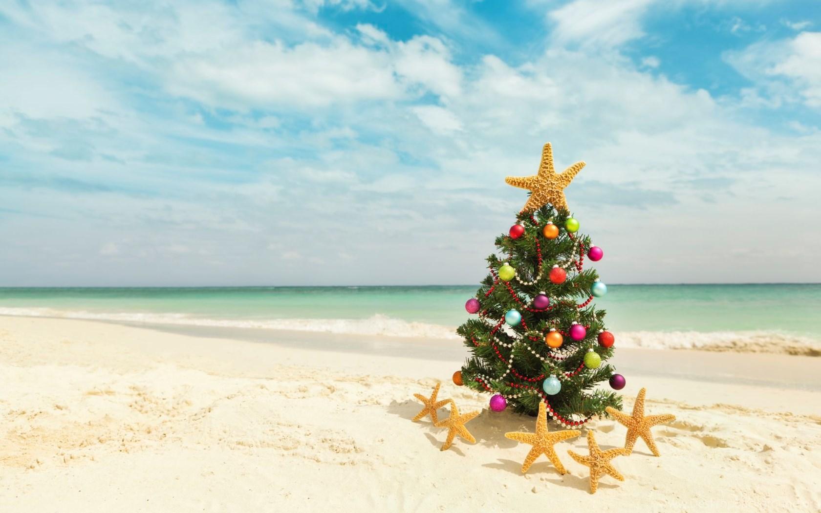 Christmas Tree Beach Wallpapers Top Free Christmas Tree Beach