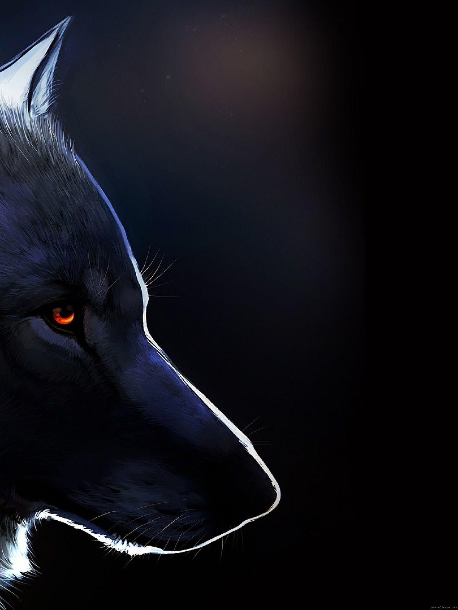 Lone Wolf HD Wallpapers Top Free Lone Wolf HD Backgrounds