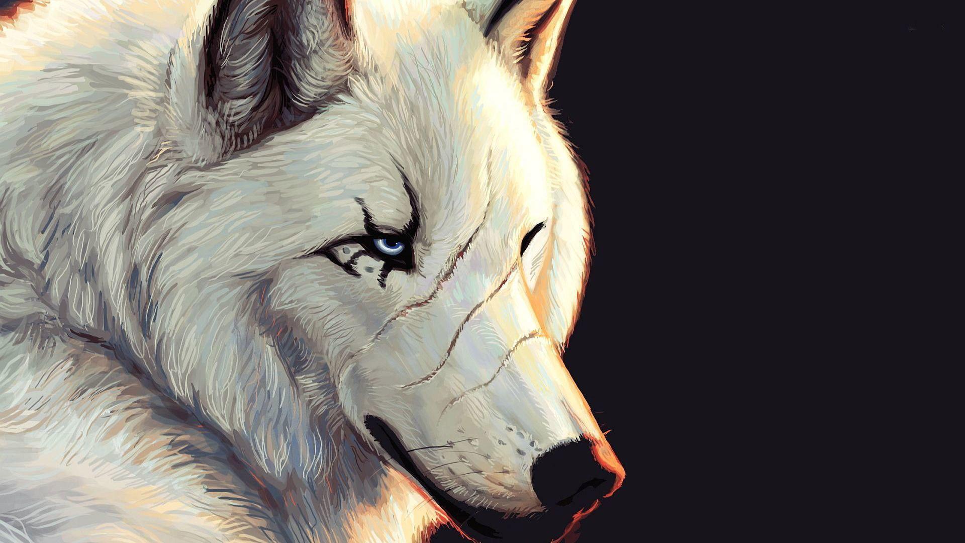 Lone Wolf HD Wallpapers Top Free Lone Wolf HD Backgrounds