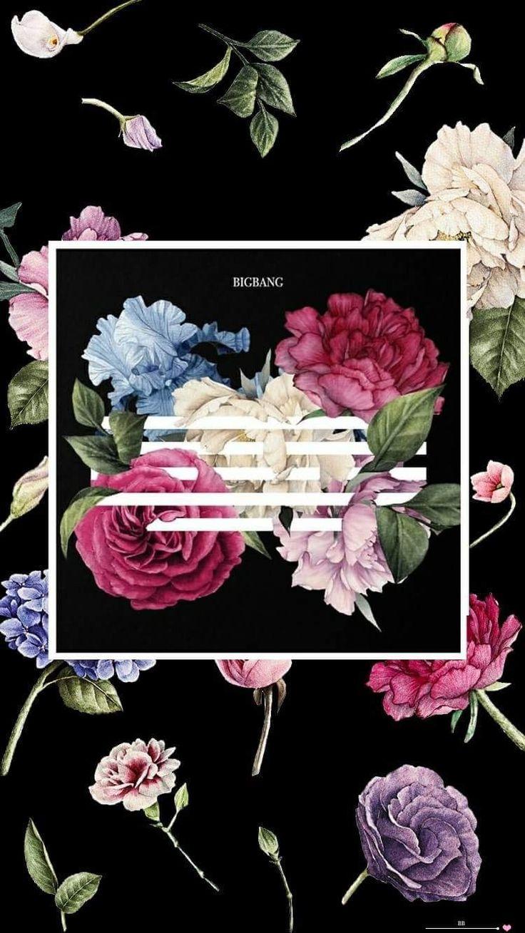 Flower Road Wallpapers Top Free Flower Road Backgrounds WallpaperAccess