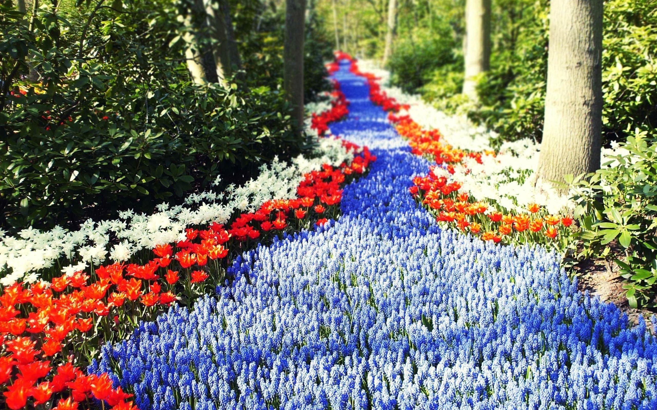 Flower Road Wallpapers Top Free Flower Road Backgrounds WallpaperAccess