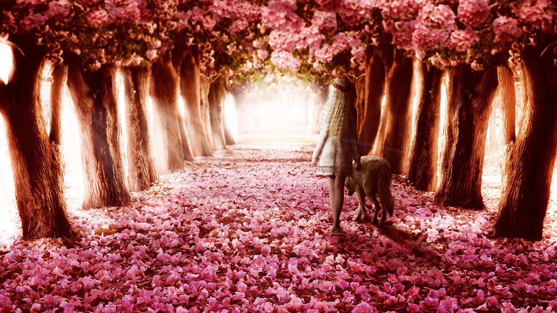 Flower Road Wallpapers Top Free Flower Road Backgrounds WallpaperAccess