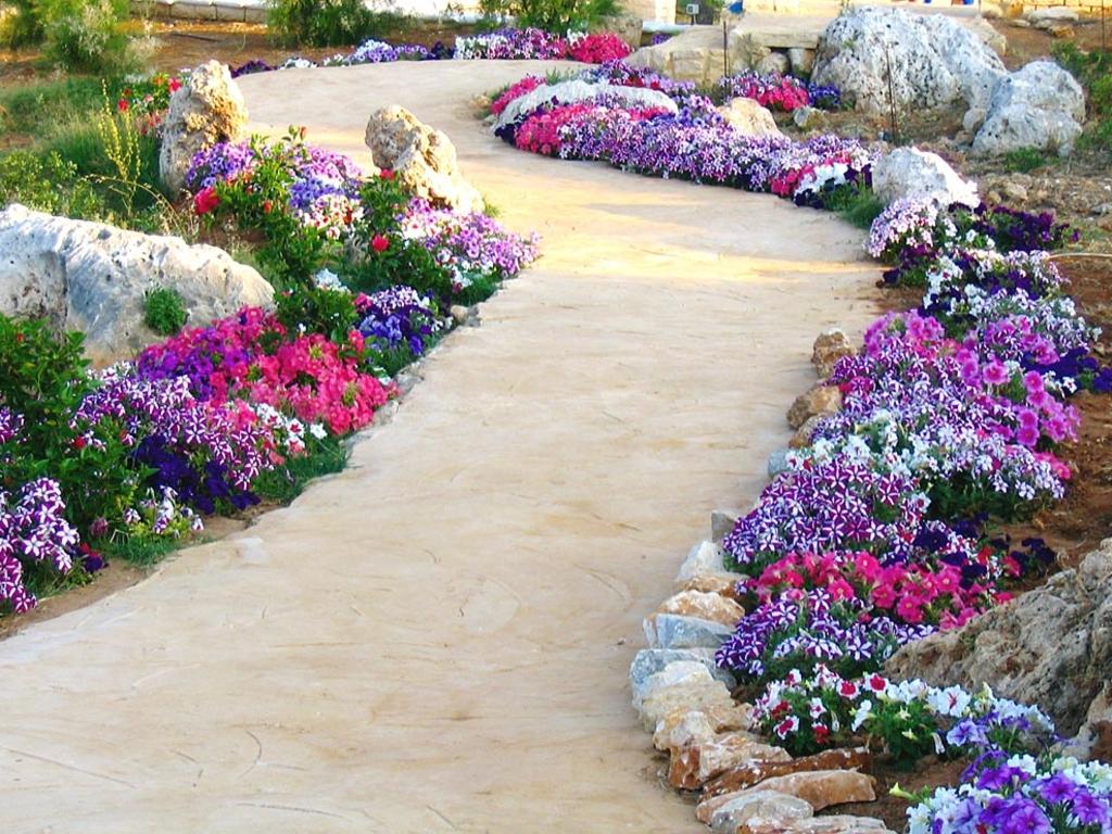 Flower Road Wallpapers Top Free Flower Road Backgrounds WallpaperAccess