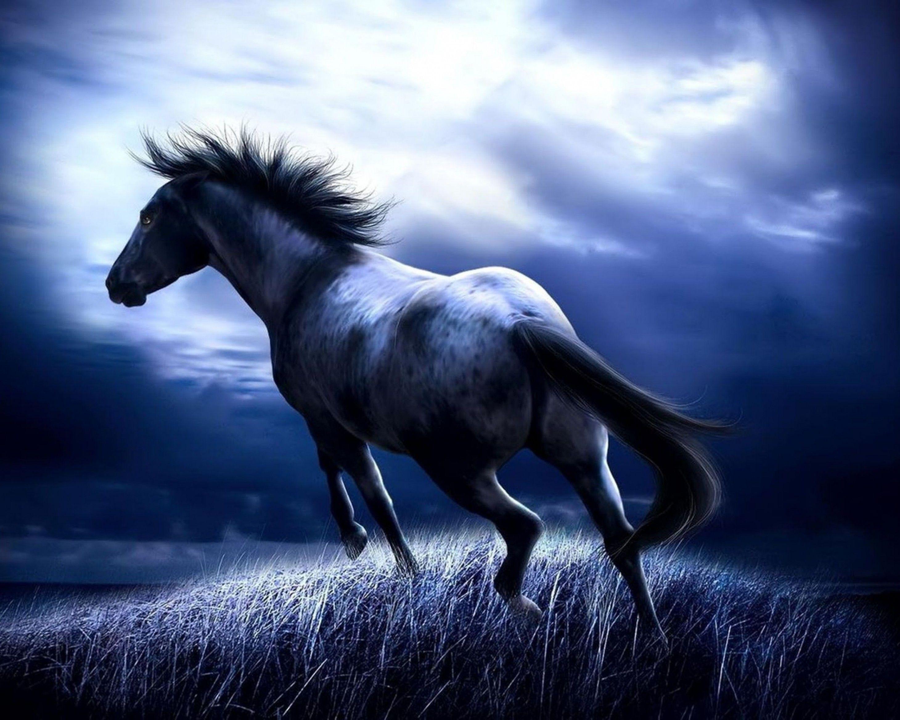 3D Horse Wallpapers Top Free 3D Horse Backgrounds WallpaperAccess