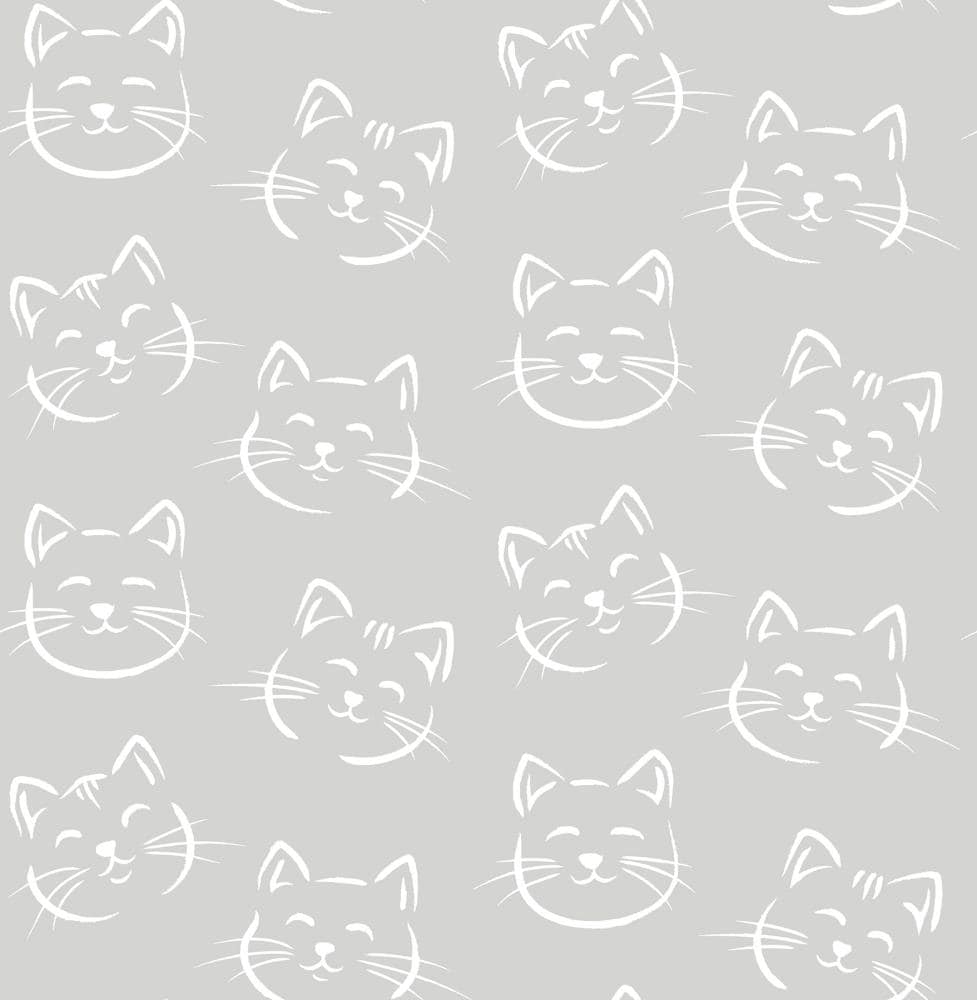 Cute Gray Cats Wallpapers Top Free Cute Gray Cats Backgrounds WallpaperAccess